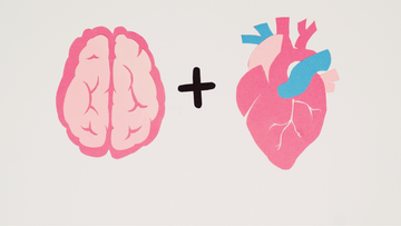 The Mind-Body Connection: How To Improve Your Mental and Physical Health